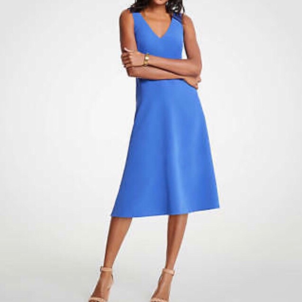 Ann Taylor Blue Beauty 🦋